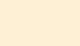 Beige Cotone